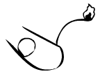 bgr