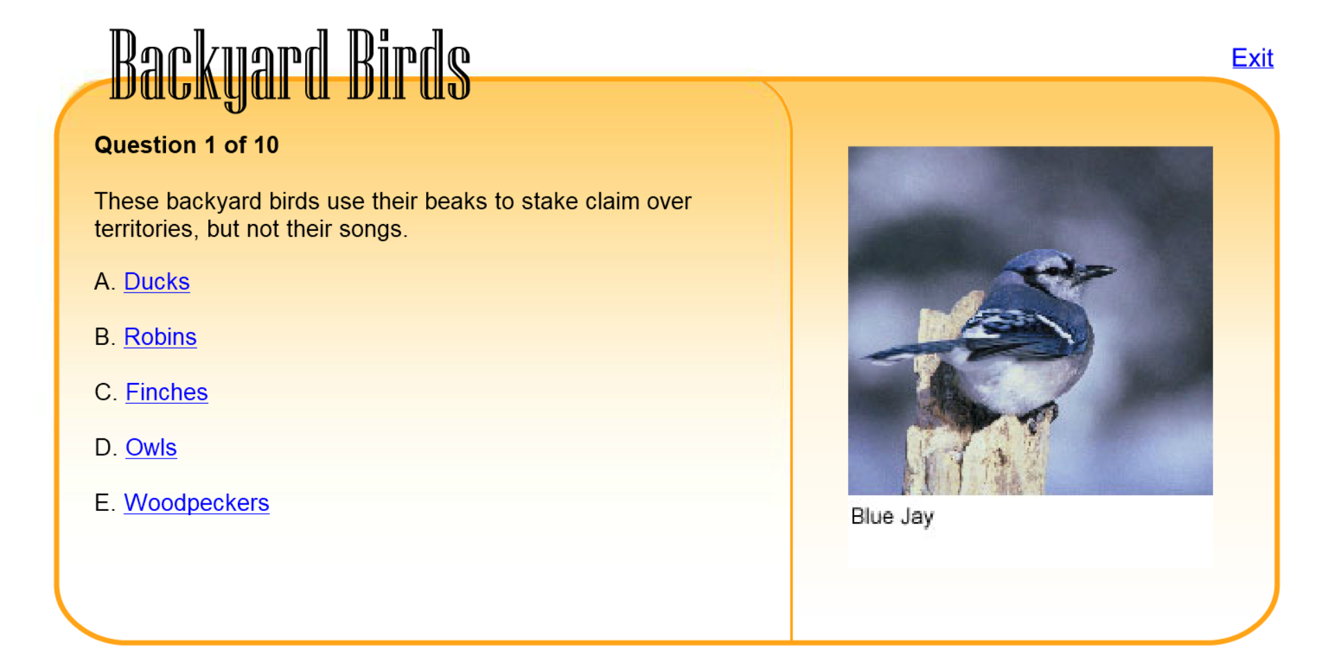 Backyard Birds Play Online on Flash Museum 🕹️