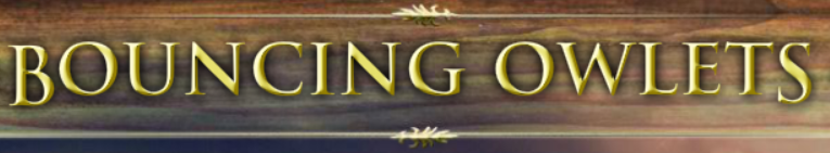 bgr