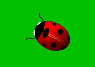 bgr