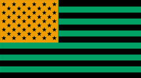 Color Reversing Flag Gameplay