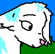 bgr