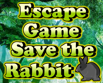 Escape Game Save the Rabbit - Play Online on Flash Museum 🕹️