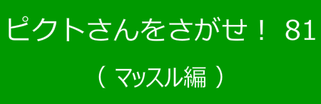 bgr