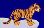 bgr