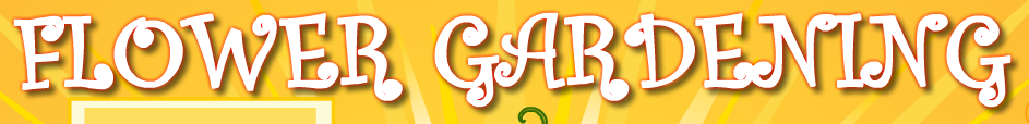 bgr