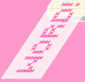 bgr