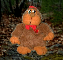 bgr