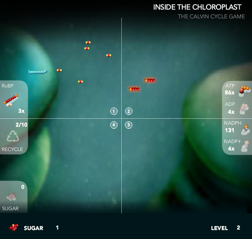 Inside the Chloroplast: The Calvin Cycle Game_Gameplay