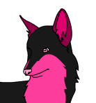 bgr