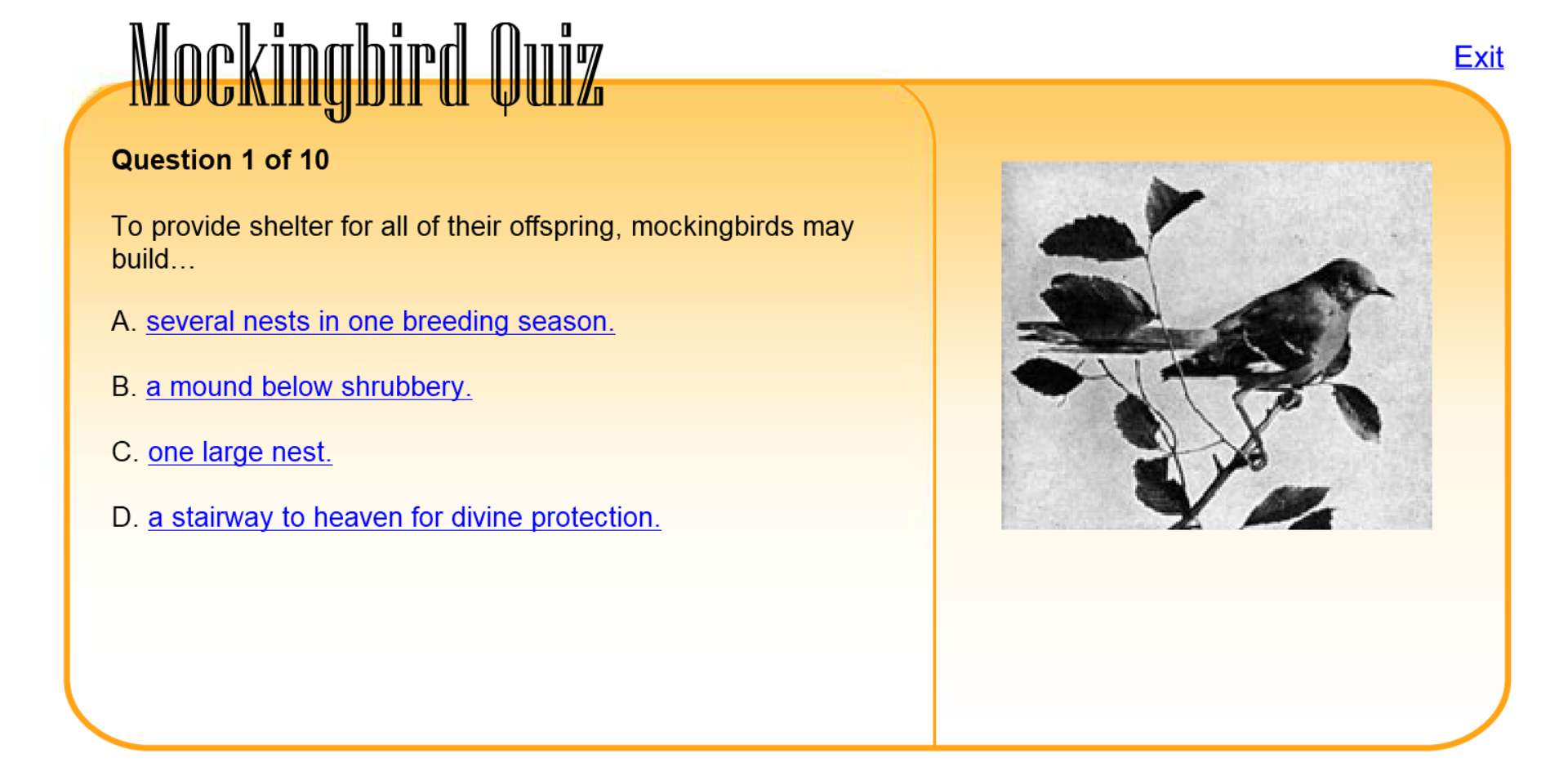 Mockingbird Quiz Play Online on Flash Museum 🕹️