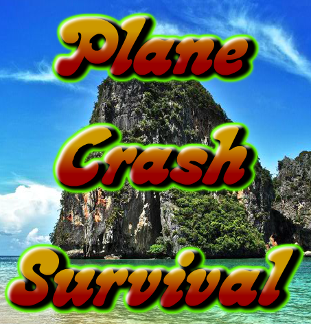 Plane Crash Survival - Play Online on Flash Museum 🕹️