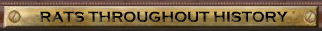 bgr