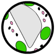 bgr