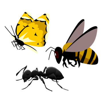 bgr