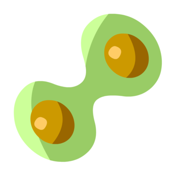 bgr