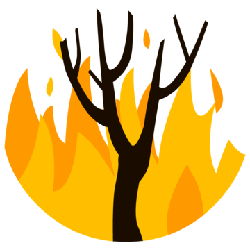 bgr