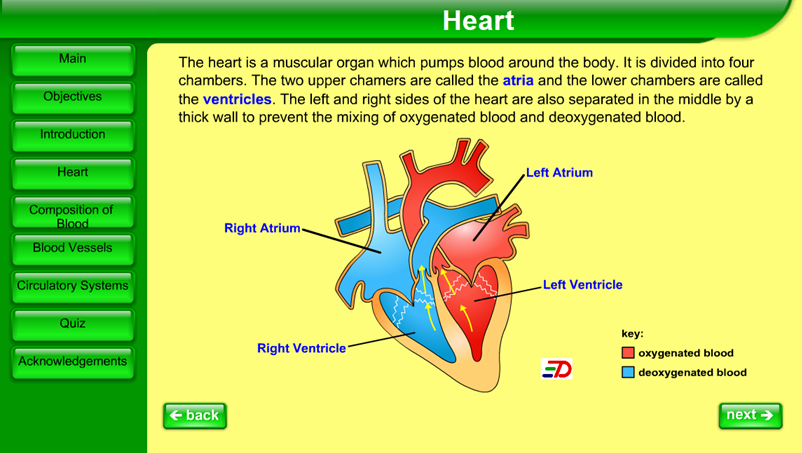 Transport in Man Gameplay