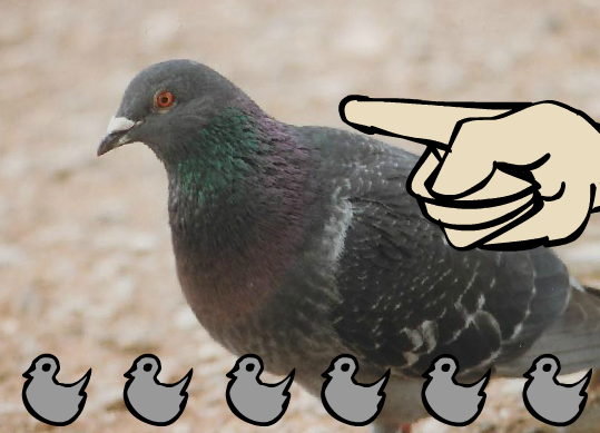 Un pigeon_Gameplay