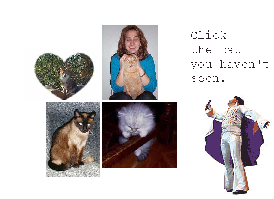 What S New Pussycat Play Online On Flash Museum рџ пёџ