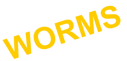 bgr