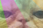 bgr