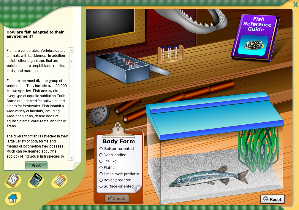 How are fish adapted to their environment? Play Online on Flash Museum 🕹️