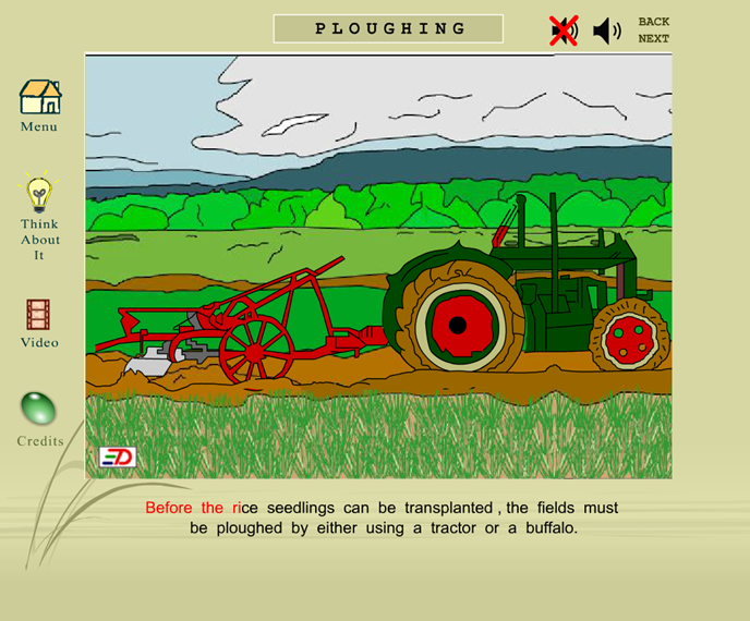Planting Rice Gameplay
